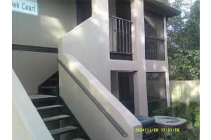 4036 Angel Oak Ct #101, TAMPA