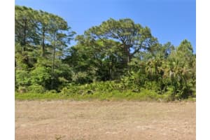 1211 GRANT BOULEVARD, LEHIGH ACRES, FL 33974 - MLS#MFRTB8335091