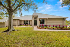 1165 CURLEW ROAD, DUNEDIN, FL 34698 Sold 03/31/25