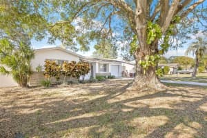 29748 68TH STREET, CLEARWATER, FL 33761 Sold 02/03/25