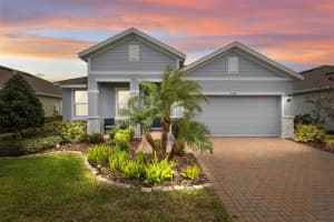 2324 STONE TABLE STREET, ODESSA, FL 33556 Sold 03/14/25