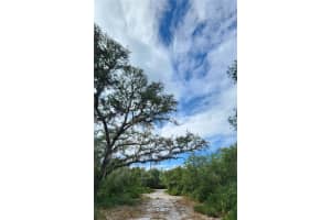LOT 6, FORT MC COY, FL 32134 - MLS#MFRTB8335199