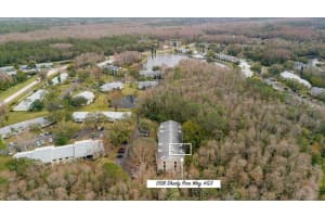 1398 SHADY PINE WAY, TARPON SPRINGS, FL 34688 Sold 03/07/25