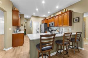 12801 BIG SUR DRIVE, TAMPA, FL 33625 Sold 02/28/25