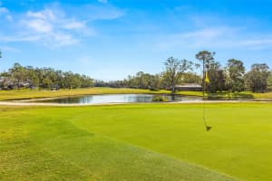 4502 ROLLING GREEN LANE, TAMPA, FL 33618 Sold 02/14/25