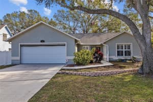 412 ARLINGTON AVENUE, OLDSMAR, FL 34677 Sold 03/25/25