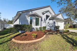 3513 GRAY WHETSTONE STREET, BRANDON, FL 33511 Sold 03/03/25