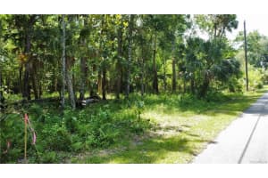 5303 PARKLAND TERRACE, HOMOSASSA, FL 34448 - MLS#MFRTB8335583