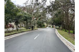 15848 FISHHAWK FALLS DRIVE, LITHIA, FL 33547 Sold 02/03/25