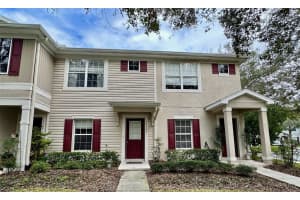 15848 FISHHAWK FALLS DRIVE, LITHIA, FL 33547 Sold 02/03/25
