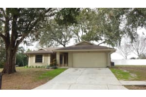 36150 PINE BLUFF LOOP, DADE CITY, FL 33525 Sold 05/09/25