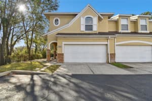 10883 Dragonwood Dr, TAMPA