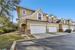 10883 DRAGONWOOD DRIVE, TAMPA, FL 33647 - MLS#MFRTB8335656