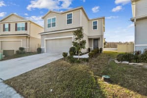 10711 OLD SYCAMORE LOOP, LAND O LAKES, FL 34638 - MLS#MFRTB8335716
