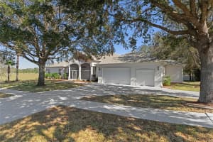 456 DIAMOND DRIVE, SPRING HILL, FL 34609 - MLS#MFRTB8335717