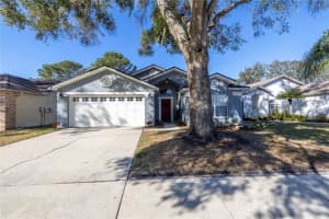6119 BECKLIN PLACE, RIVERVIEW, FL 33578 Sold 02/13/25