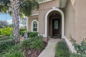 31014 KELMIN TERRACE, WESLEY CHAPEL, FL 33543 Sold 03/04/25
