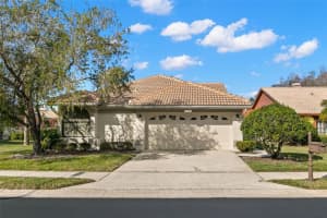 3621 DARSTON STREET, PALM HARBOR, FL 34685 Sold 05/07/25