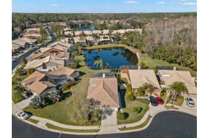 3621 DARSTON STREET, PALM HARBOR, FL 34685 Sold 05/07/25