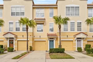 3117 BAYSHORE OAKS DRIVE, TAMPA, FL 33611 Sold 07/18/25