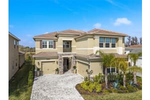 3221 ACACIA BAY AVENUE, WESLEY CHAPEL, FL 33543 Sold 04/04/25