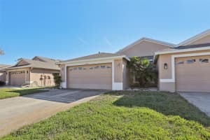 31447 SHAKER CIRCLE, WESLEY CHAPEL, FL 33543 - MLS#MFRTB8336023