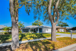 3541 OAK LAKE DRIVE, PALM HARBOR, FL 34684 Sold 02/28/25