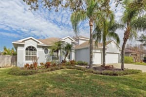 16927 MELISSA ANN DRIVE, LUTZ, FL 33558 Sold 03/27/25
