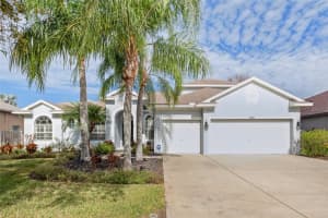 16927 MELISSA ANN DRIVE, LUTZ, FL 33558 Sold 03/27/25