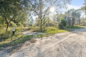 13378 ALBANY ROAD, WEEKI WACHEE, FL 34614 Sold 02/25/25