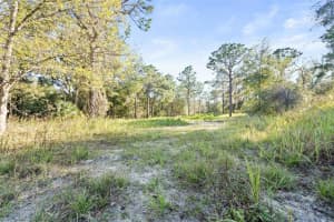 13378 ALBANY ROAD, WEEKI WACHEE, FL 34614 Sold 02/25/25
