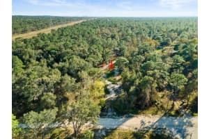 13378 ALBANY ROAD, WEEKI WACHEE, FL 34614 Sold 02/25/25