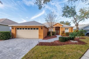 19105 GOLDEN CACOON PLACE, LUTZ, FL 33558 Sold 02/26/25