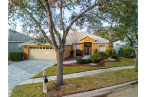 19105 GOLDEN CACOON PLACE, LUTZ, FL 33558 Sold 02/26/25