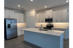 31703 GRIFFIN SANDS LANE, SAN ANTONIO, FL 33576 Sold 04/22/25