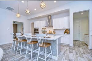 4204 WOODS RIDER LOOP, ODESSA, FL 33556 Sold 02/27/25