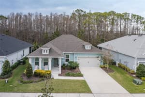 2085 ALIMARA COURT, ODESSA, FL 33556 Sold 03/14/25