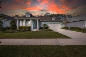 2085 ALIMARA COURT, ODESSA, FL 33556 Sold 03/14/25