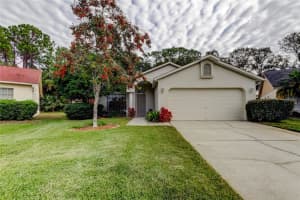 8727 HUNTFIELD STREET, TAMPA, FL 33635 Sold 02/10/25