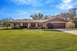 11019 HANNAWAY DRIVE, RIVERVIEW, FL 33578 Sold 02/28/25