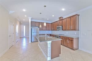 3216 PAINTED BLOSSOM COURT, LUTZ, FL 33558 Sold 02/22/25