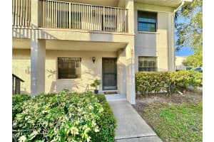 2119 ELM STREET, DUNEDIN, FL 34698 - MLS#MFRTB8336851