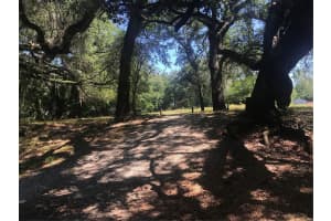 0 PARK DRIVE, DADE CITY, FL 33523 Sold 04/29/25