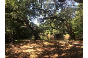 0 PARK DRIVE, DADE CITY, FL 33523 Sold 04/29/25