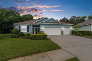 11206 KISKADEE CIRCLE, NEW PORT RICHEY, FL 34654 Sold 04/29/25