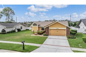 1029 FALCON RIDGE LANE, PALM HARBOR, FL 34683 Sold 04/30/25