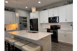 17818 ALTHEA BLUE PLACE, LUTZ, FL 33558 Sold 03/13/25