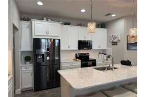 17818 ALTHEA BLUE PLACE, LUTZ, FL 33558 Sold 03/13/25