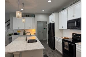 17818 ALTHEA BLUE PLACE, LUTZ, FL 33558 Sold 03/13/25