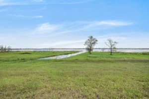 288 CALADIUM AVENUE, LAKE ALFRED, FL 33850 - MLS#MFRTB8336954